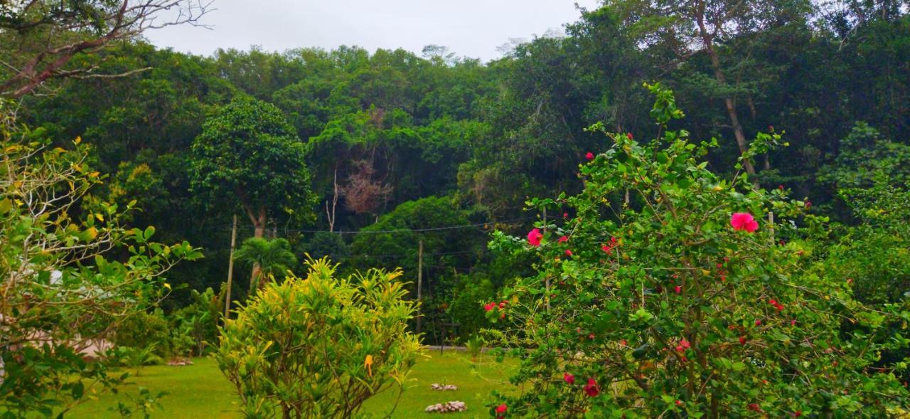 Dan Zoranz Self Catering Guest House La Digue  Extérieur photo