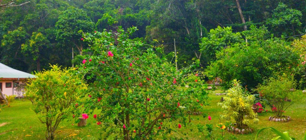 Dan Zoranz Self Catering Guest House La Digue  Extérieur photo