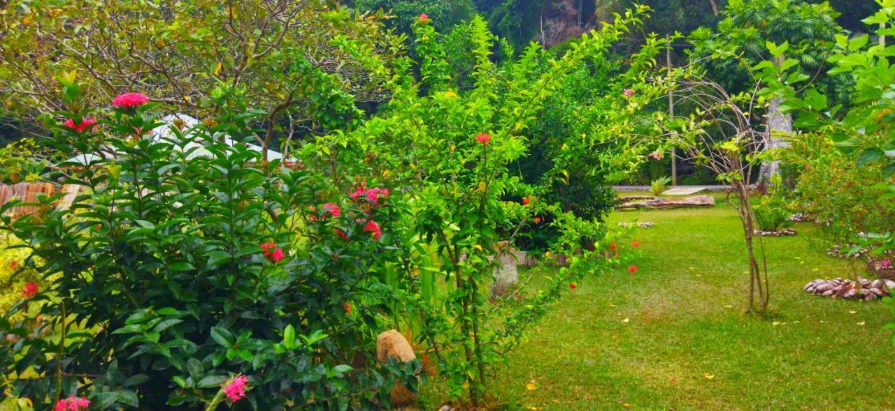 Dan Zoranz Self Catering Guest House La Digue  Extérieur photo