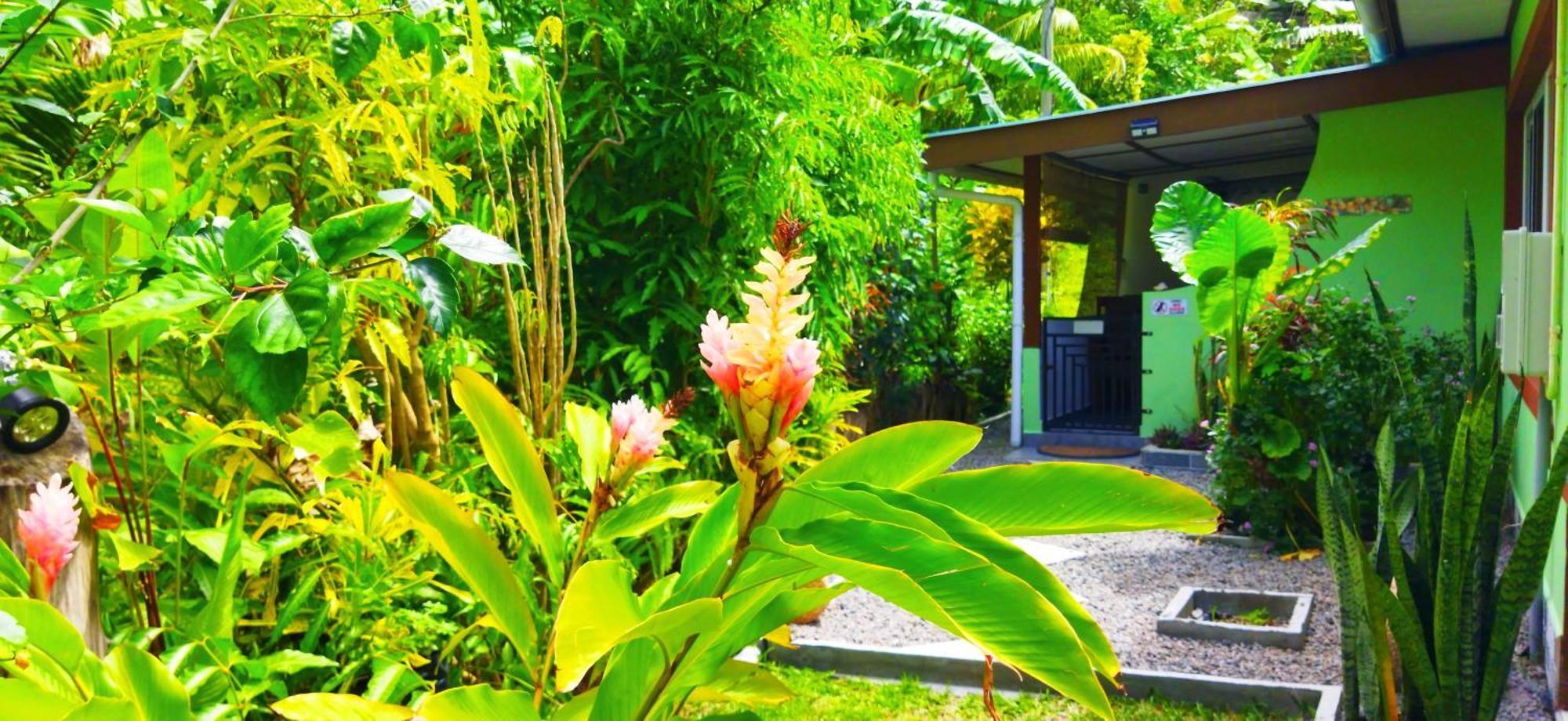 Dan Zoranz Self Catering Guest House La Digue  Extérieur photo