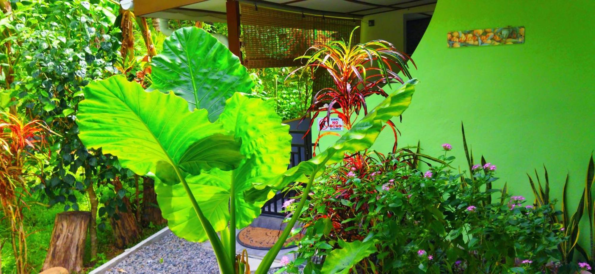 Dan Zoranz Self Catering Guest House La Digue  Extérieur photo